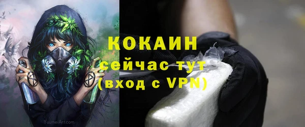 шишки Абаза