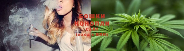 шишки Абаза