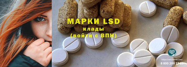 шишки Абаза