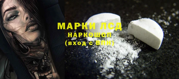 шишки Абаза