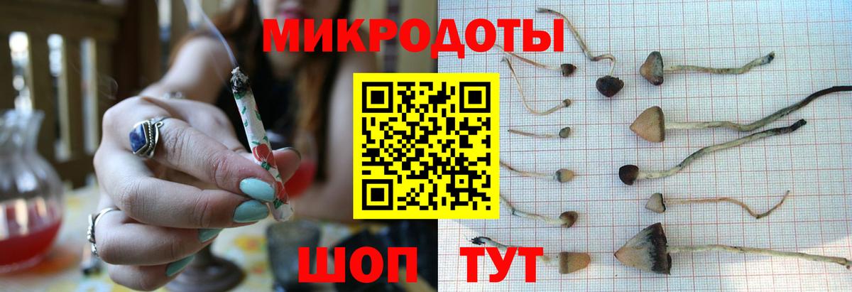Галлюциногенные грибы мицелий  Вход с VPN  что такое наркотик  Карасук 